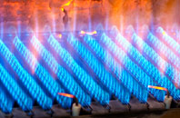 Richmond gas fired boilers